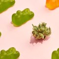 Everything You Need To Know About CBD Gummies